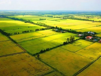 MẪU ĐƠN VỀ ĐẤT ĐAI HIỆN NAY