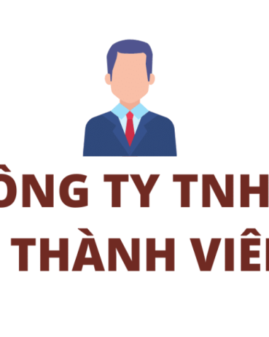 Công ty TNHH một thành viên có được quyền phát hành cổ phần hay không? Hồ sơ chuyển đổi từ Công ty TNHH một thành viên thành Công ty Cổ phần