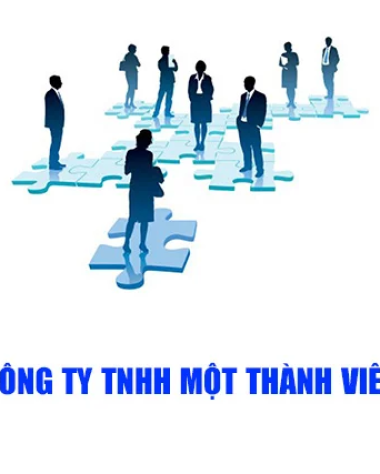 Quyền và nghĩa vụ của chủ sở hữu Công ty TNHH một thành viên 