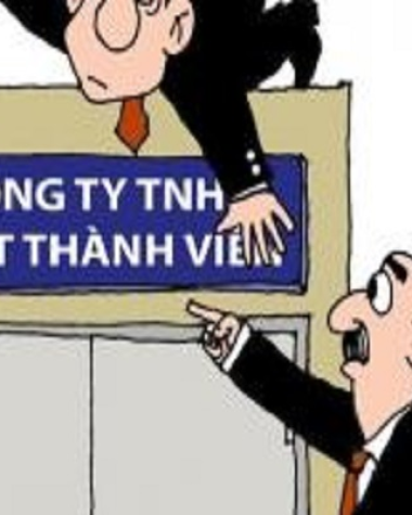 Đặc điểm của Công ty TNHH một thành viên