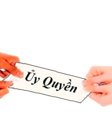 Thành viên, cổ đông công ty là tổ chức có được cử đại diện theo ủy quyền để thực hiện quyền và nghĩa vụ tại doanh nghiệp