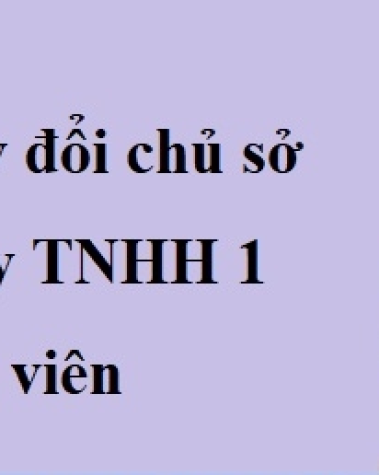 Thủ tục đăng ký thay đổi chủ sở hữu công ty trách nhiệm hữu hạn một thành viên