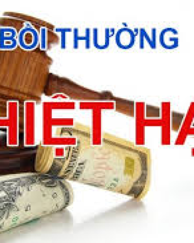 NGUYÊN TẮC BỒI THƯỜNG THIỆT HẠI